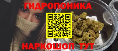 прущие крисы Ирбит