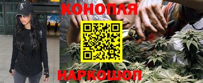 сатива Изобильный